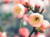 标题.jpg