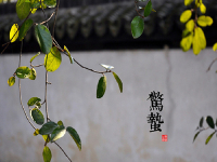 d43d7e14de0d1663838803_副本.jpg