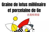 Graine_de_lotus_millénaire_et_porcelaine_de_Ge.png