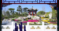 大标题2.jpg