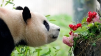 BETsy9UTgIU5nzsN_副本_副本.jpg