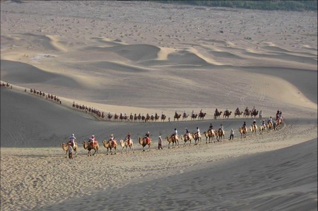 Une troupe de chameliers traverse le désert de Gobi, près de la grotte de Dunhuang
