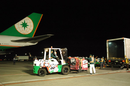 Les deux pandas géants offerts par la partie continentale de Chine sont arrivés à l'aéroport de Taoyuan à Taipei mardi à 17H02.