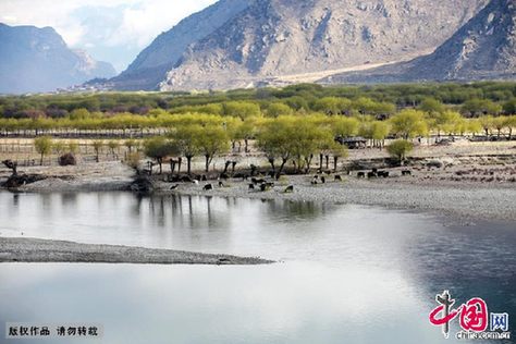 Il passe notamment par la préfecture de Nyingchi, la plus base du Tibet avec une altitude moyenne de 3100 mètres. 