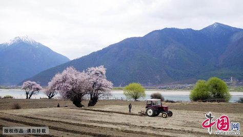 Le charme du fleuve Yarlung Zangbo au printemps