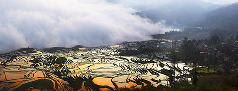 2. Les rizières en terrasses de Yuanyang (ou de Hani), 