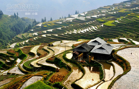 4. Les rizières en terrasses de Jiabang